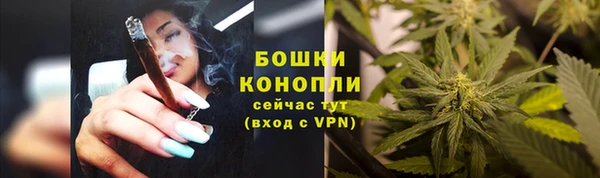mdpv Новодвинск