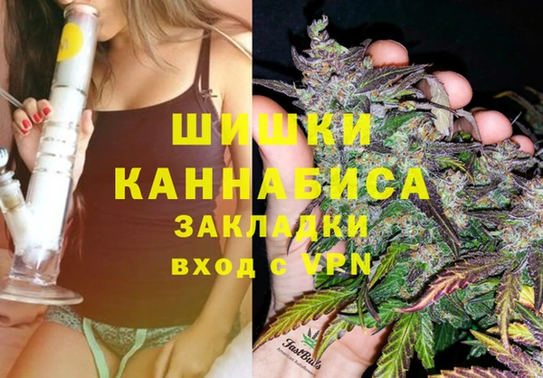 СК Новокубанск