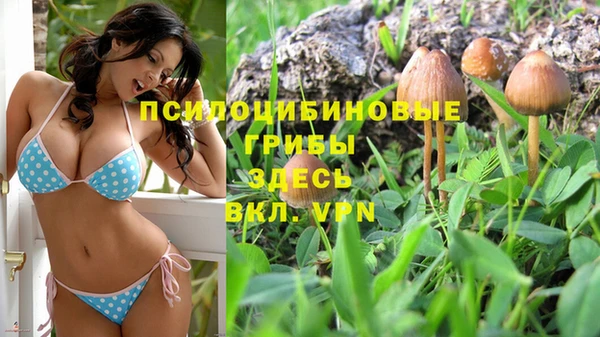 кокаин Новозыбков