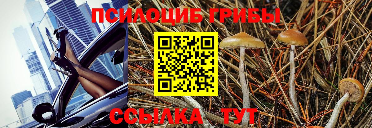 Галлюциногенные грибы прущие грибы Ставрополь