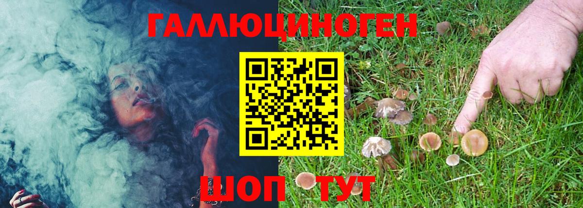 Ставрополь  Псилоцибиновые грибы Magic Shrooms  Псилоцибиновые грибы GOLDEN TEACHER  Вход с VPN 