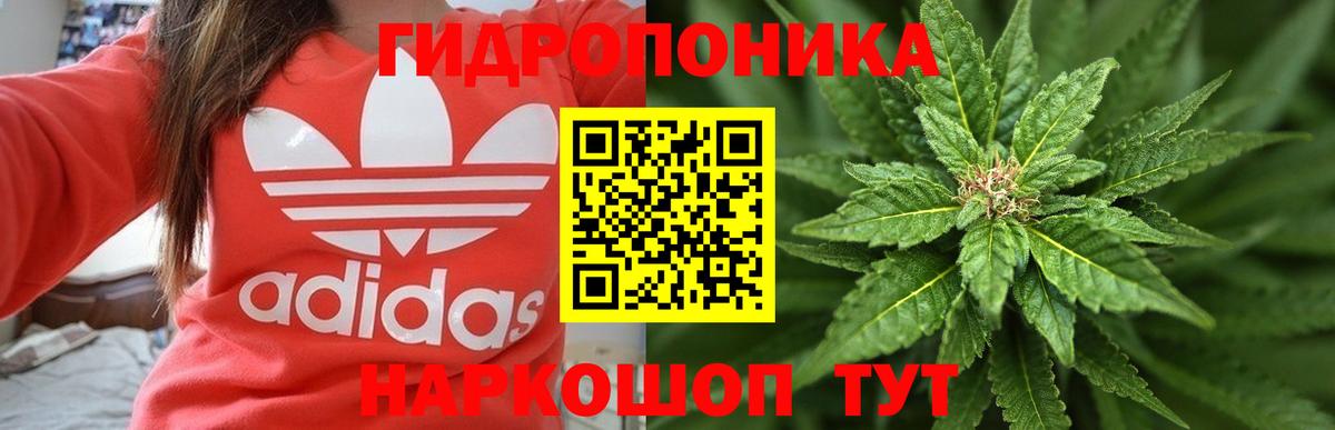 МАРИХУАНА THC 21%  Каннабис сатива  МАРИХУАНА план  Ставрополь  Вход с VPN 